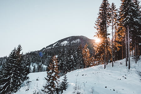 Snowy mountain thumbnail