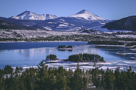 aerial view of body of water and green leafed trees thumbnail