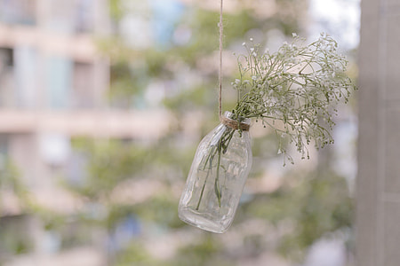 shallow focus photography of green plant in glass jar thumbnail