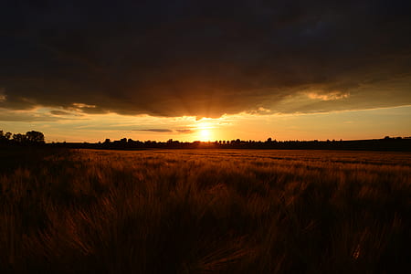 silhouette photo of field during sunset thumbnail