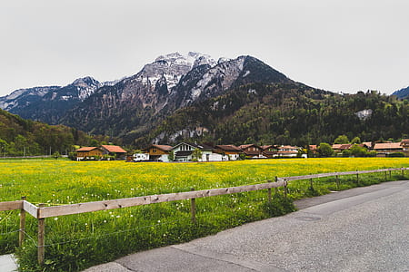 Green Grass Field Near Houses and Mountain thumbnail
