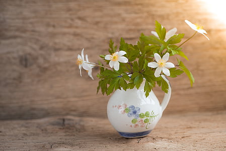 selective focus photo of white petaled flowers with vase thumbnail