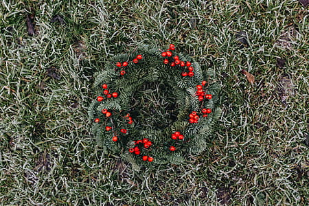 A Very Merry Fresh Holly Wreath for Christmas thumbnail
