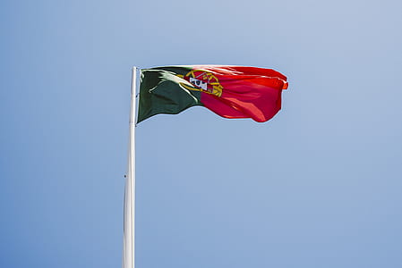 red and green flag thumbnail