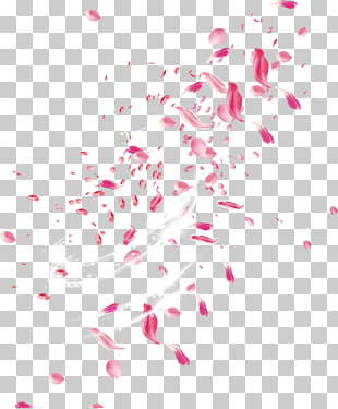 Petal Flower Pink, Drift rose petals, pink flower petals PNG clipart