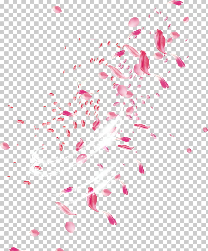 Petal Flower Pink, Drift rose petals, pink flower petals PNG clipart