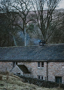 gray concrete house near leafless trees thumbnail
