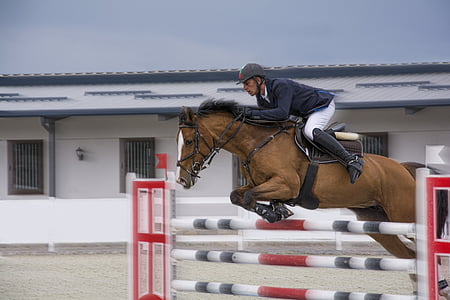 male jockey riding brown horse jumping on three wooden obstacle during daytime thumbnail