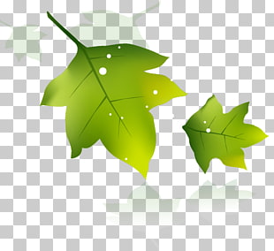 666 Leaf Banner Png Cliparts For Free Download Uihere