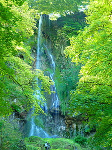 waterfalls near green trees thumbnail