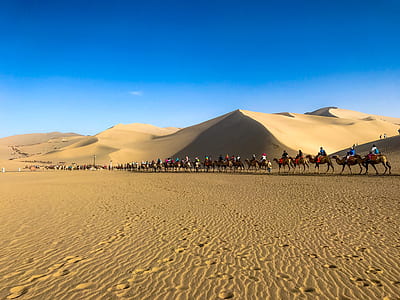 people riding camel on desert thumbnail