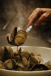 person holding mussel thumbnail