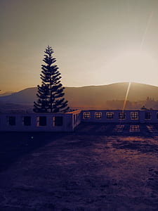 Concrete Bench Near Pine Tree Background of Mountain during Sunset thumbnail