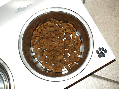 dog food in bowl placed on table thumbnail