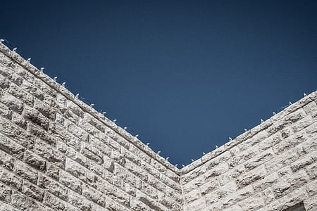 gray concrete building thumbnail