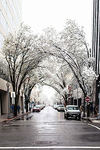white SUV thumbnail