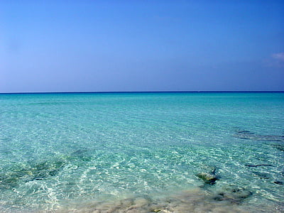 blue body of water during daytime thumbnail