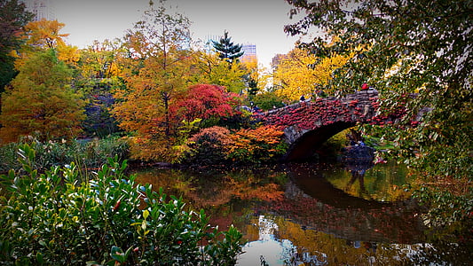 lake garden during day time thumbnail