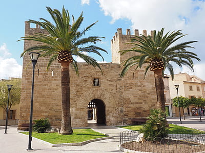 two trees near castle thumbnail
