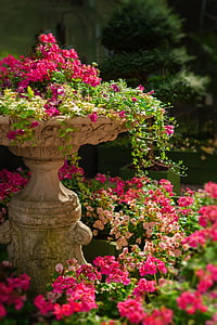 pink flowers lot thumbnail