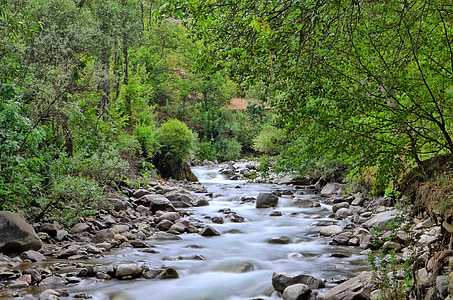timelapse photography of running river water between forest during daytime thumbnail