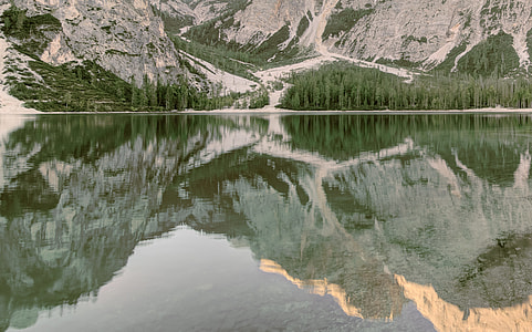 aerial photography of gray rocky mountain surrounded with pine trees near lake at daytime thumbnail