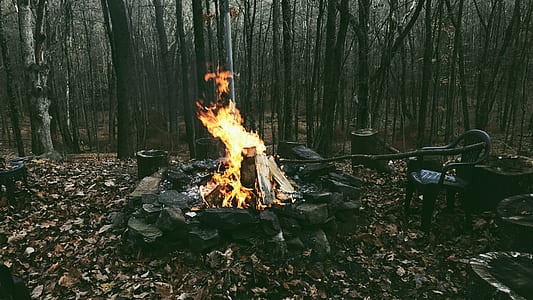 bone fire near black monobloc armchair over brown leafed trees thumbnail