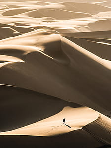 silhouette of person walking on desert thumbnail