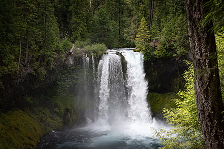 plunge waterfalls thumbnail