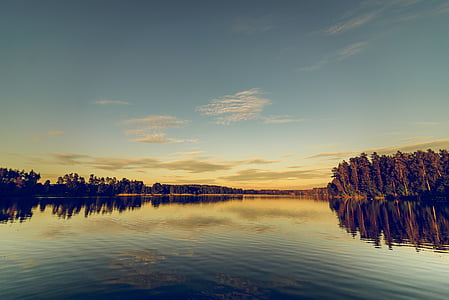 green leafed trees beside body of water thumbnail