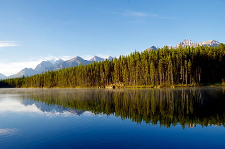 forest reflection on water under blue sky thumbnail