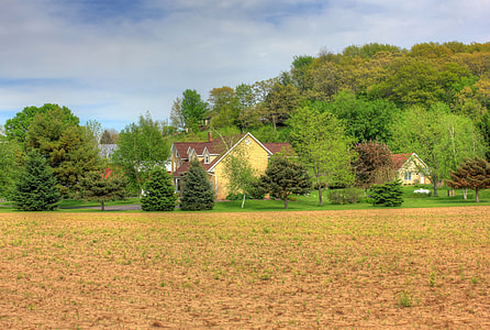 House behind Trees thumbnail