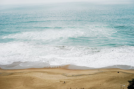 seashore during daytime thumbnail