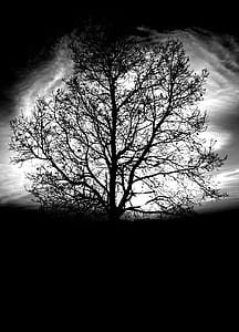 light, landscape, nature, dark thumbnail