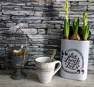 gray ceramic vase , white ceramic cup and white steel pot with green plants thumbnail