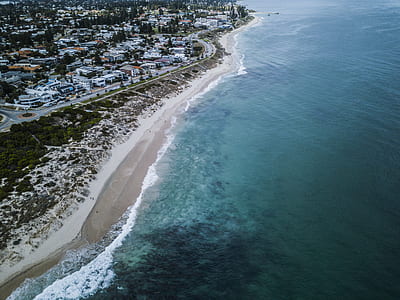 bird's eye view photography of buildings on seashore thumbnail