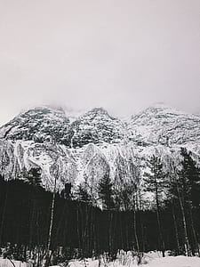 silhouette of tall trees beside snow covered mountain under white cloudy sky at daytime thumbnail