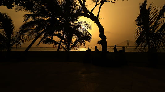 silhouette photo of person sitting near tree thumbnail