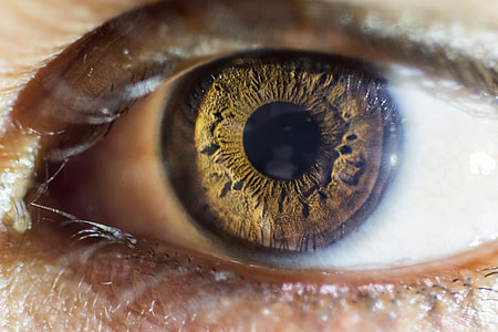 close-up photo of human brown eye thumbnail
