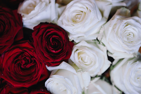 White And Red Roses Bouquet thumbnail