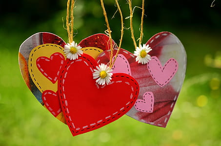 heart, cord, suspended, love, together, love symbol thumbnail