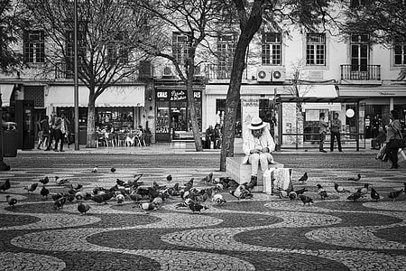 grayscale photography of person feeding pigeon thumbnail