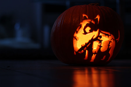 lighted dog Jack-o'-lantern thumbnail