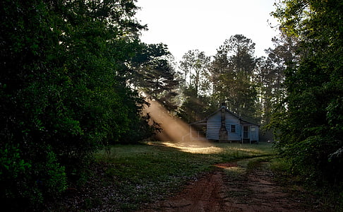 blue wooden house near tree during daytime thumbnail