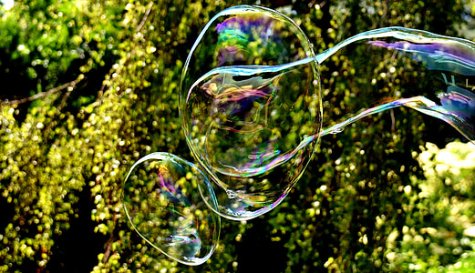 bubble near green leafed plant during daytime thumbnail