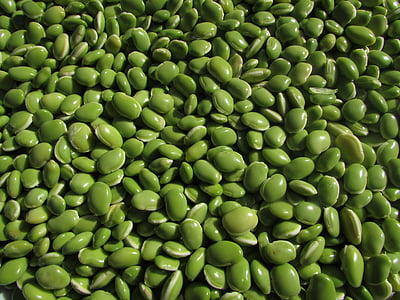 beans, leguminous plants, pulse, legumes thumbnail