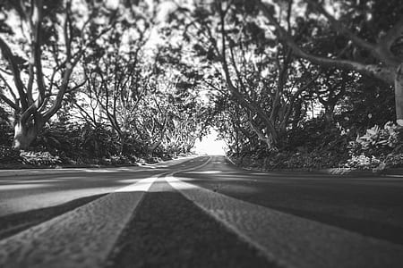 grey scale photography of road thumbnail
