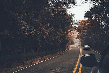 two vehicle passing through road surrounded with trees thumbnail