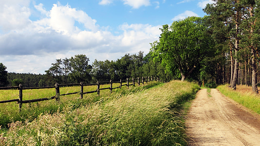 brown path road between grass during daytime thumbnail