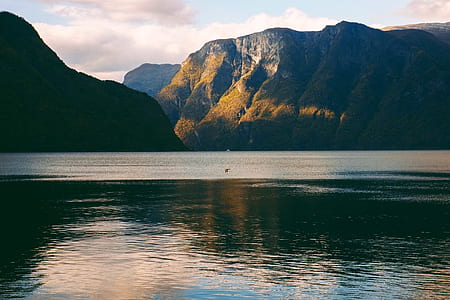 body of water during daytime thumbnail